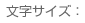 文字サイズ